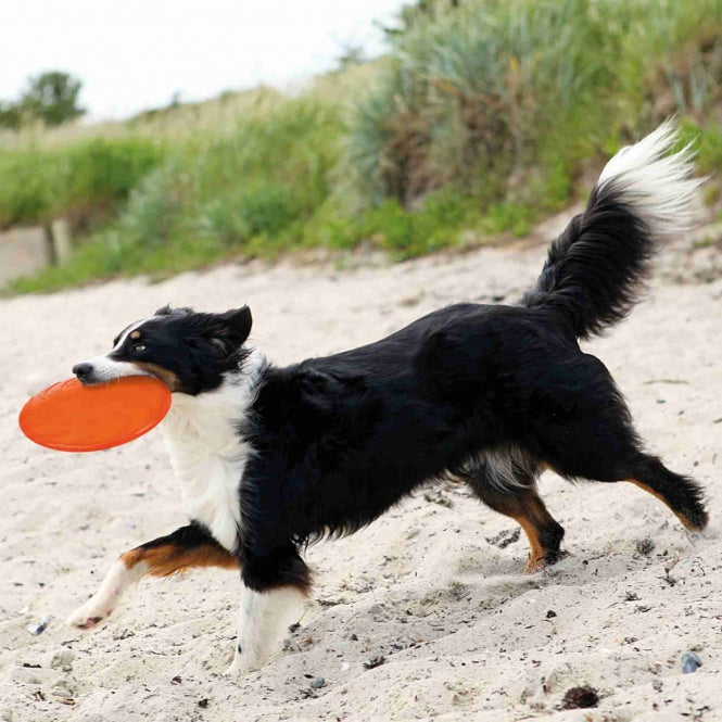 Trixie TPR Dog Disc – schwimmend