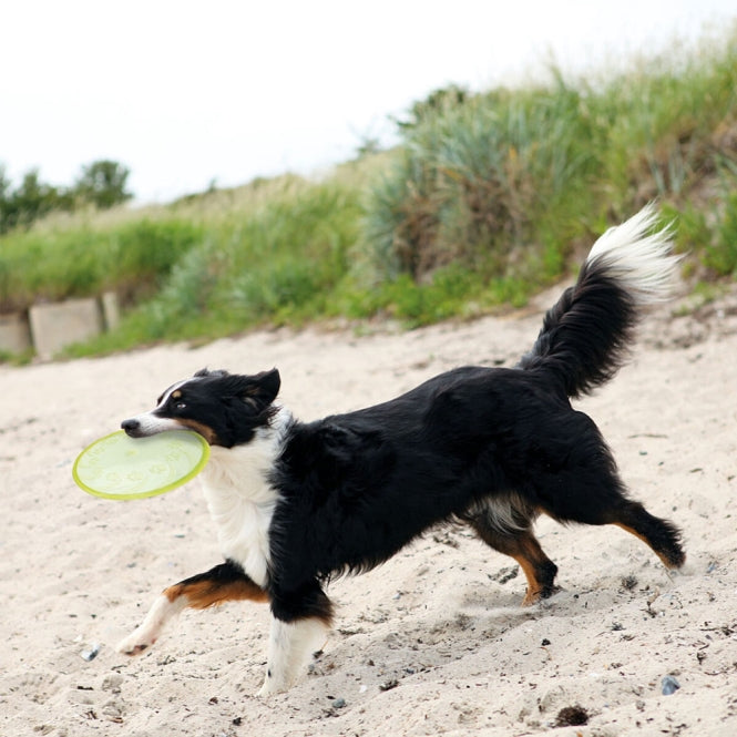 Trixie TPR Dog Disc – schwimmend