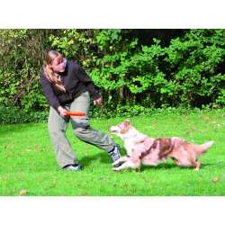 Trixie Dog Disc Frisbee – bissfest