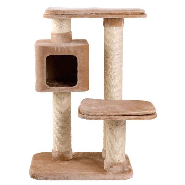 Karlie Kratzbaum BIG CAT 1
