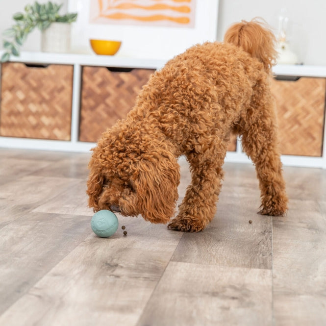 Trixie Labyrinth – Snacky Naturgummi – Snackball