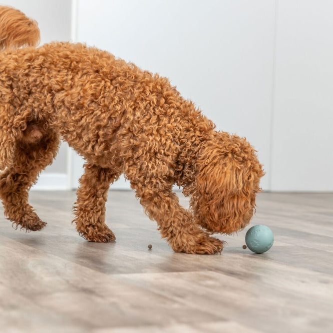 Trixie Labyrinth – Snacky Naturgummi – Snackball