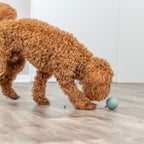 Trixie Labyrinth – Snacky Naturgummi – Snackball