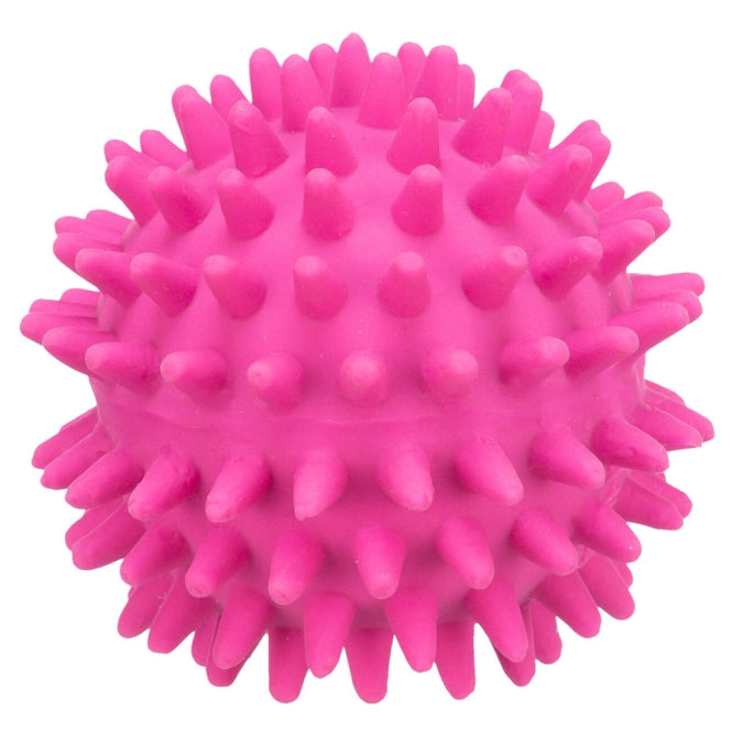 Trixie Igelball aus Latex
