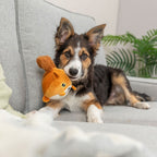 Trixie Eichhörnchen mit Memoryeffekt