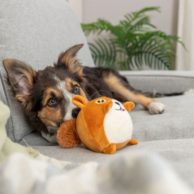 Trixie Eichhörnchen mit Memoryeffekt