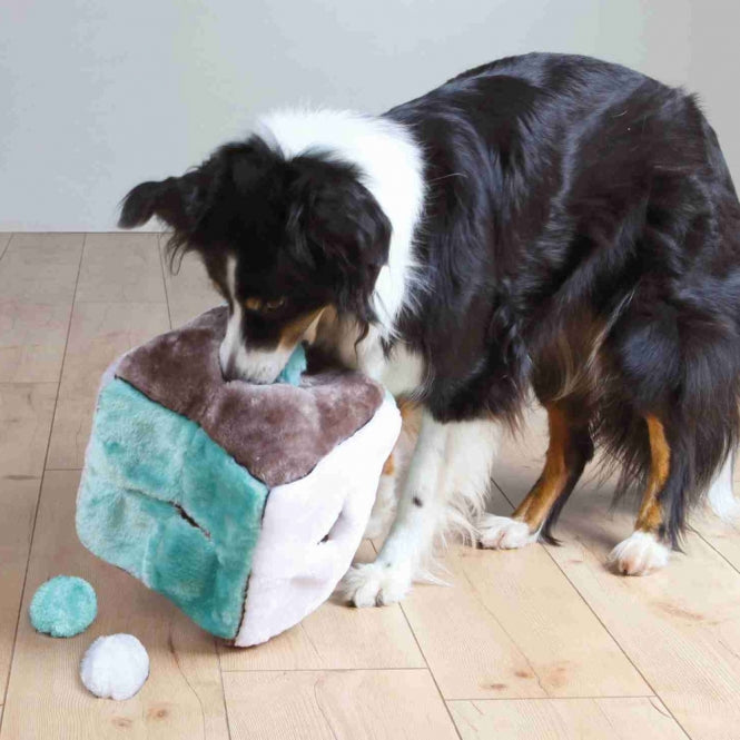 Trixie Plüschwürfel mit 4 Spielbällen