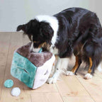 Trixie Plüschwürfel mit 4 Spielbällen
