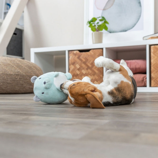Trixie Junior Plüschtier Bär – geräuschlos