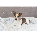 Trixie Polster Schondecke Harvey