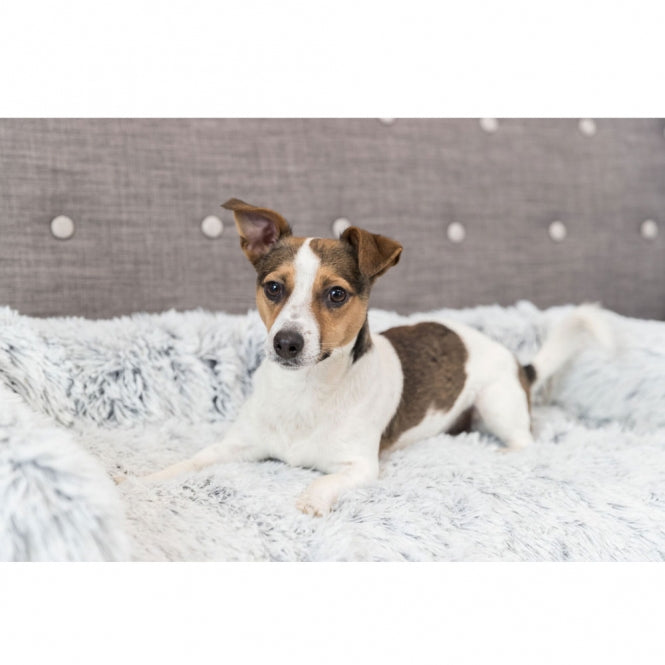 Trixie Polster Schondecke Harvey