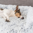 Trixie Polster Schondecke Harvey