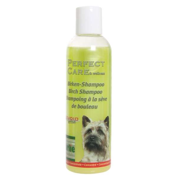 Perfect Care Shampoo Konzentrat in 3 Düften
