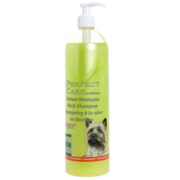 Perfect Care Shampoo Konzentrat in 3 Düften