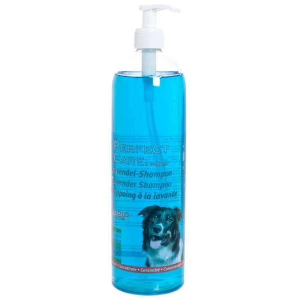 Perfect Care Shampoo Konzentrat in 3 Düften
