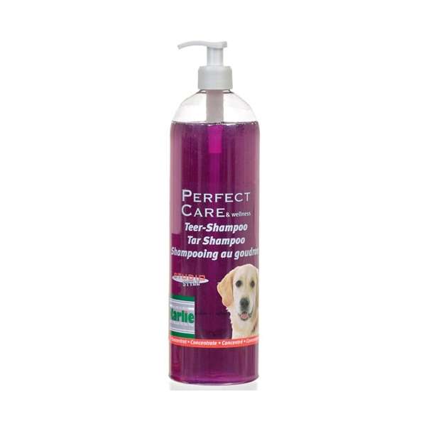Karlie Teer - Shampoo