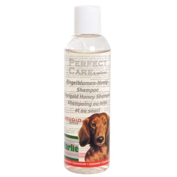 Perfect Care Shampoo Konzentrat in 3 Düften