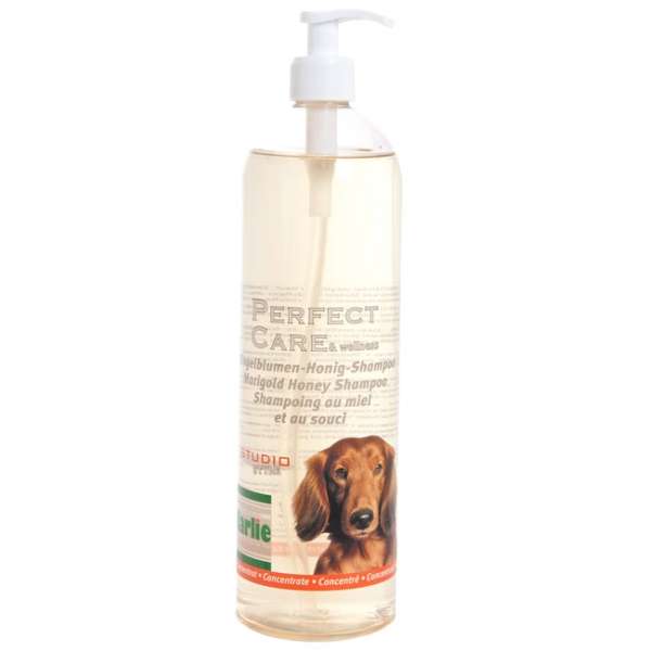 Perfect Care Shampoo Konzentrat in 3 Düften