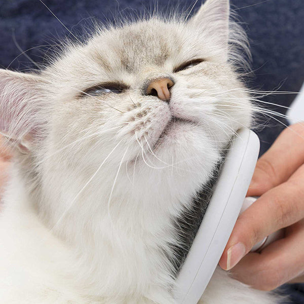 Catit Bürsten - Set für - und Langhaarkatzen