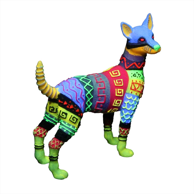 Aqua Della DiaDeLos Muertos Hund