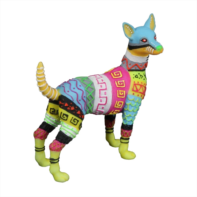 Aqua Della DiaDeLos Muertos Hund