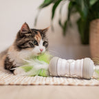 EBI Cat Toy Double Spinner