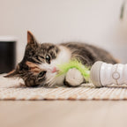 EBI Cat Toy Double Spinner