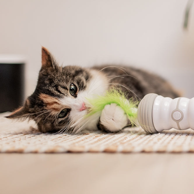 EBI Cat Toy Double Spinner