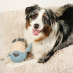D&D Hundespielzeug Isla Chenille