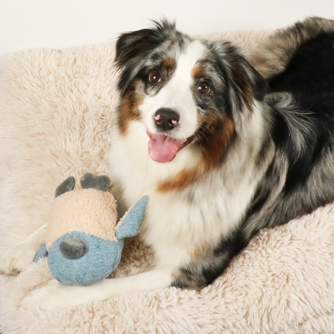 D&D Hundespielzeug Isla Chenille
