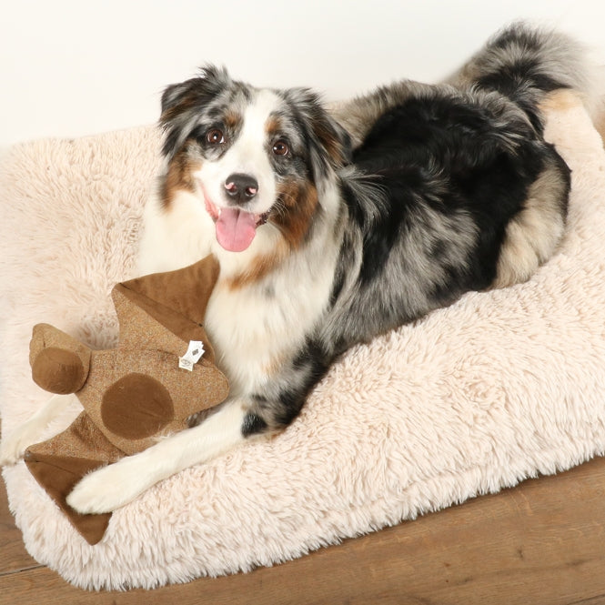 D&D Hundespielzeug Kayli Chenille