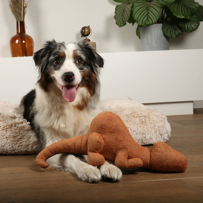 D&D Hundespielzeug Quasi Chenille