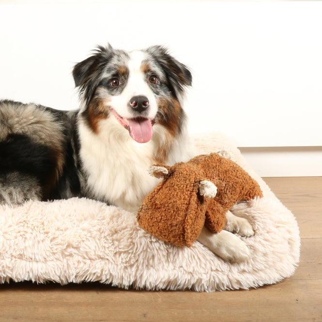 D&D Hundespielzeug Emmy Teddystoff