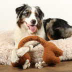 D&D Hundespielzeug George Teddystoff