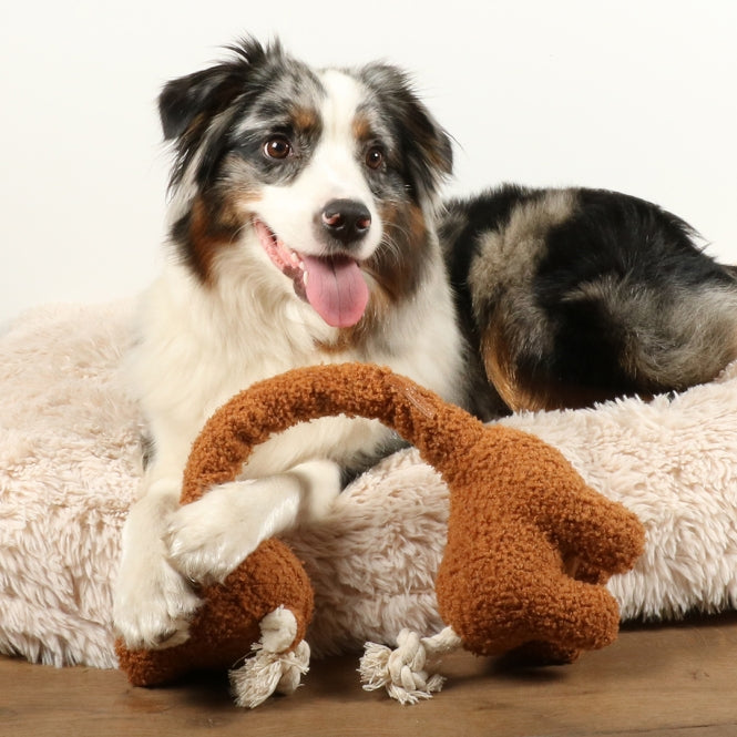 D&D Hundespielzeug George Teddystoff