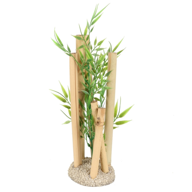 Aqua Della Bambusornament