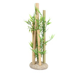 Aqua Della Bambusornament