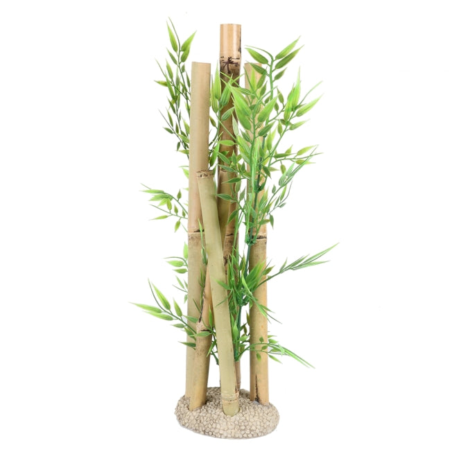 Aqua Della Bambusornament