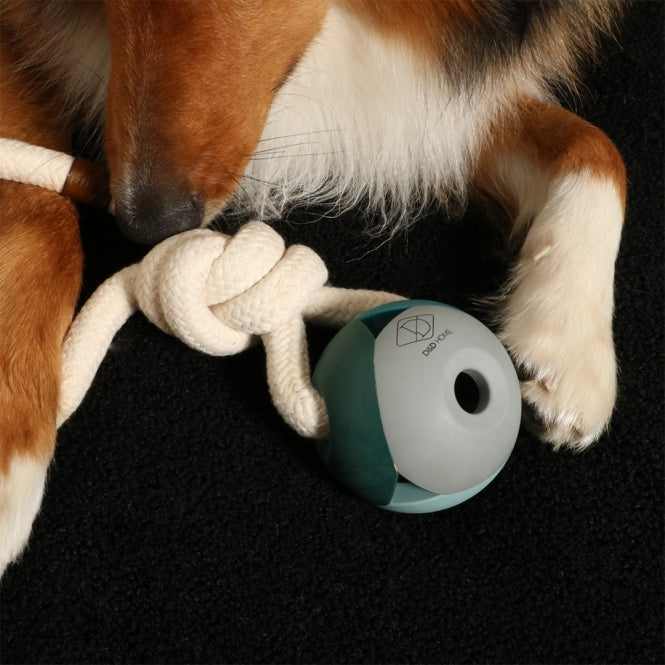 D&D Hundespielzeug Nora – lagoon