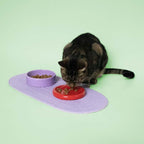Coockoo Futternapf FUNKY FEEDING