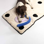 Coockoo Hundedecke Domino Dream