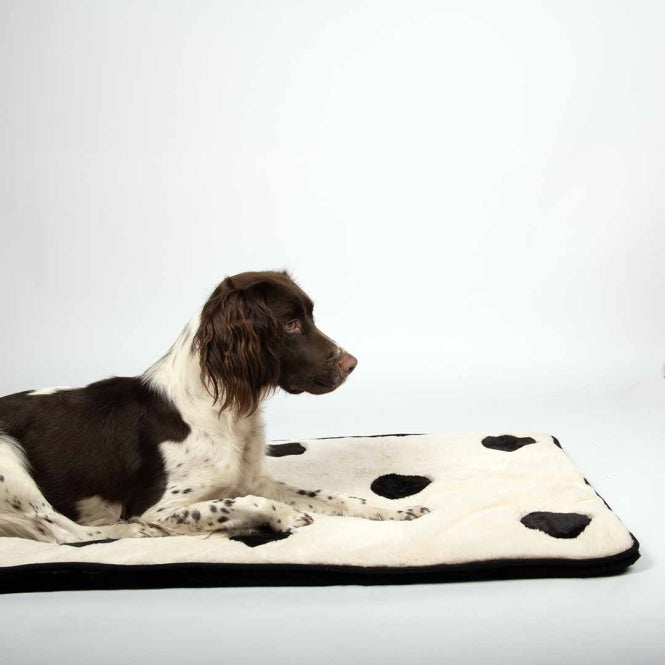 Coockoo Hundedecke Domino Dream