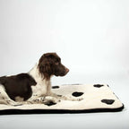 Coockoo Hundedecke Domino Dream