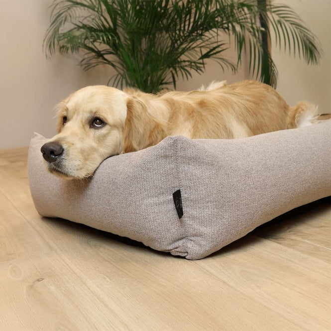 D&D Hundebett Eden