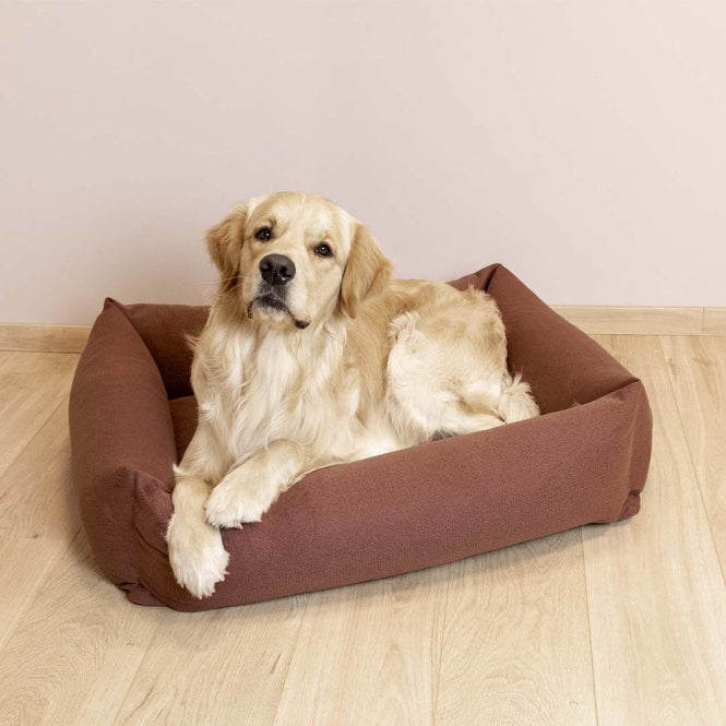 D&D Hundebett Eden