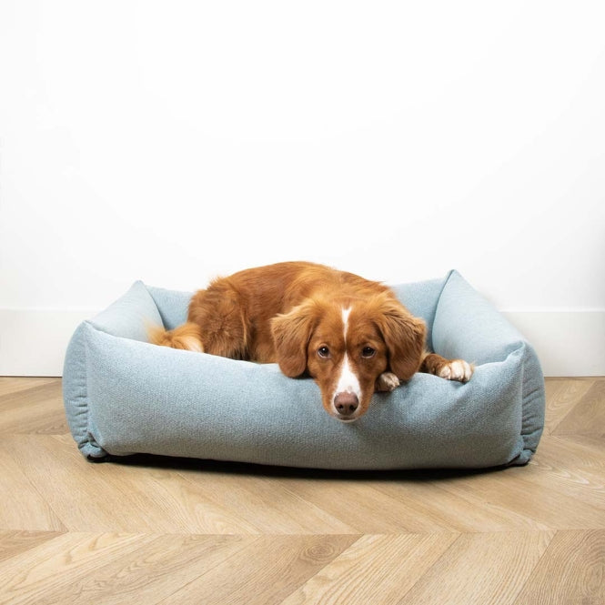 D&D Hundebett Eden