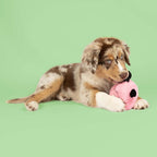 Coockoo Hundespielzeug Bouncy Buddy