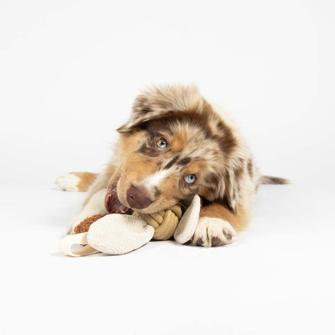 D&D Hundespielzeug Jule