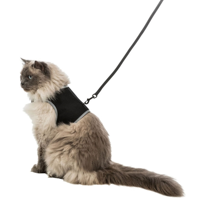 Trixie Softgeschirr XL in Schwarz mit Leine für große Katzenrassen