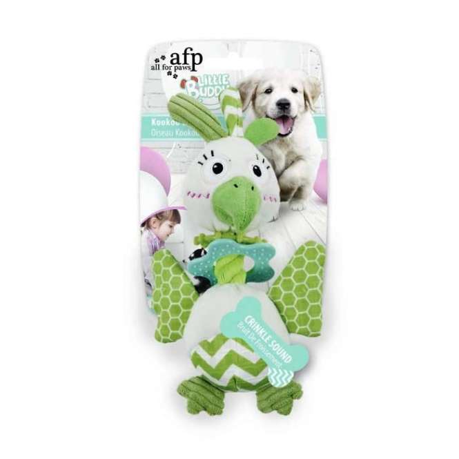 All for Paws Little Buddy – Kookoo Bird